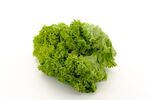 生菜