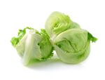 生菜