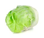 生菜 