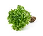 生菜