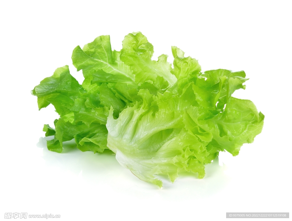 生菜