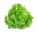 生菜