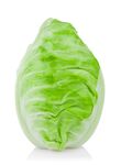 生菜