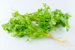 香菜