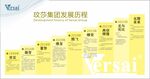 玟莎 十二味中草药 海报 文化