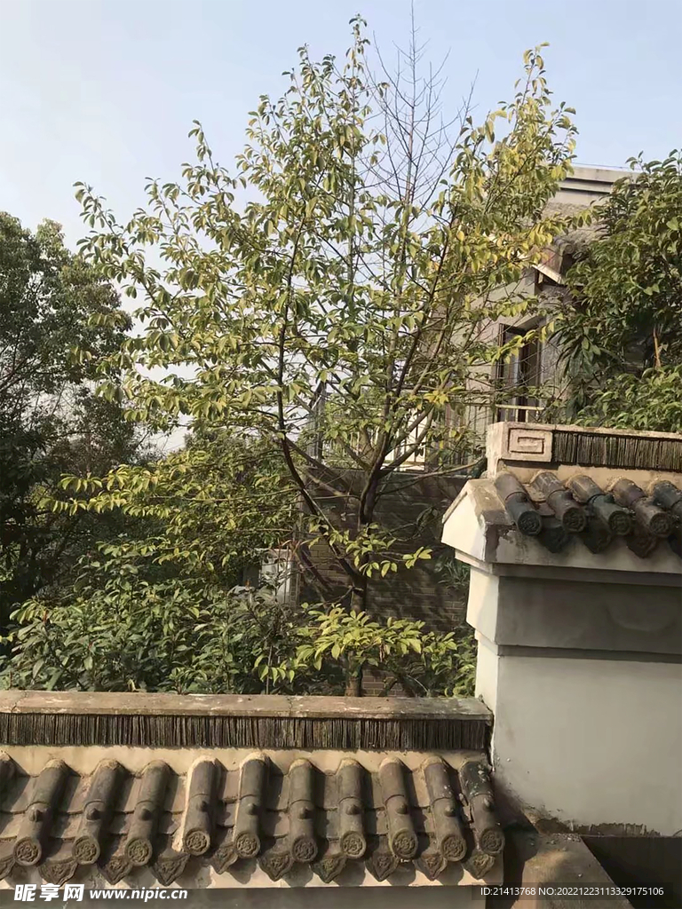 古典仿古建筑