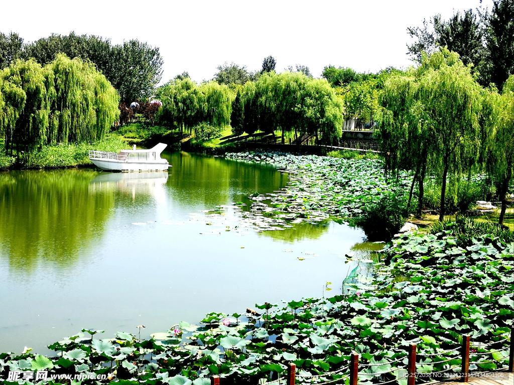 北京翠湖国家湿地公园