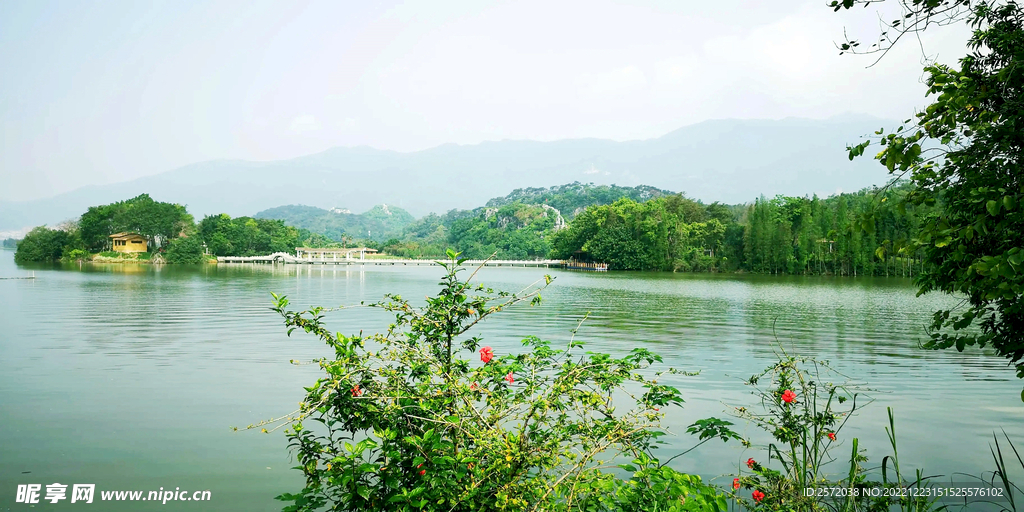 广东星湖湿地公园