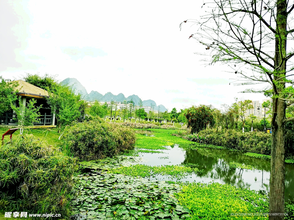 广西靖西湿地公园