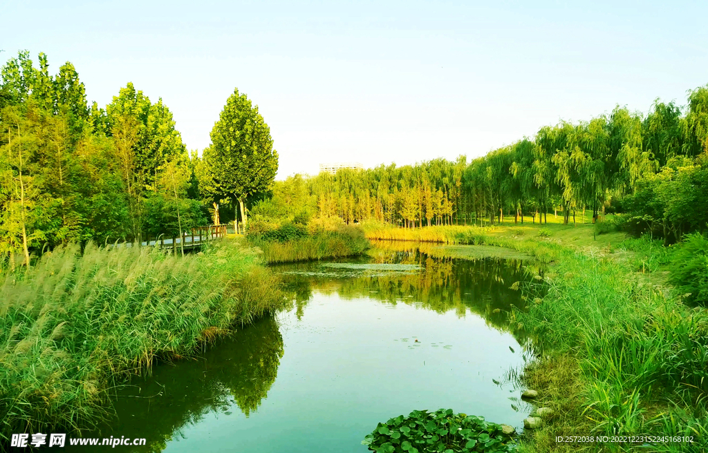 河南郑州龙湖湿地公园