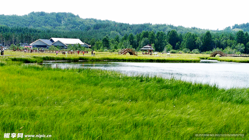 河北塞罕坝七星湖湿地