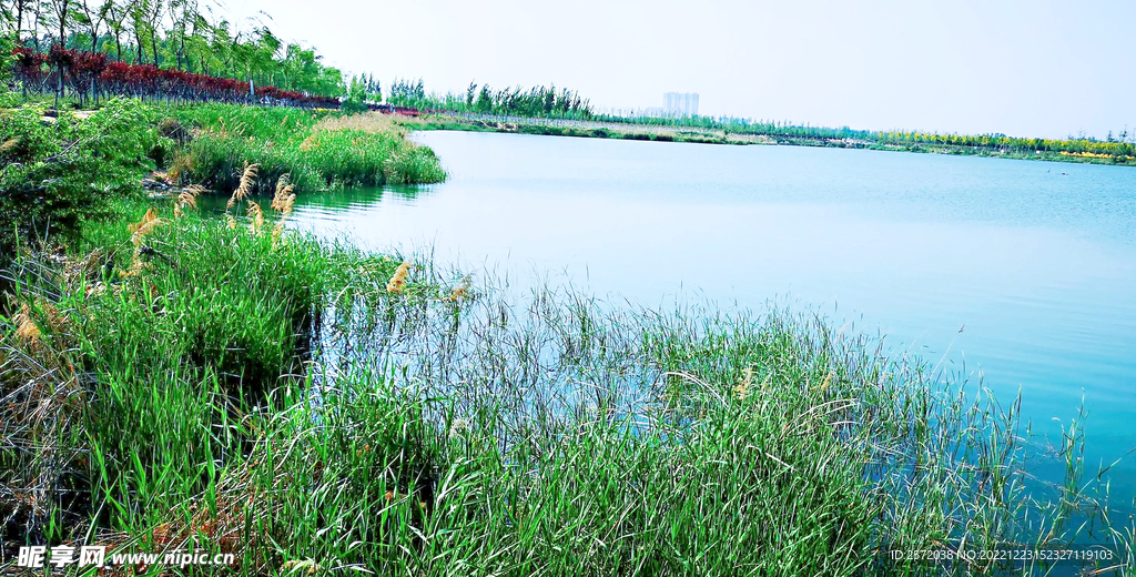 河南郑州龙湖湿地公园
