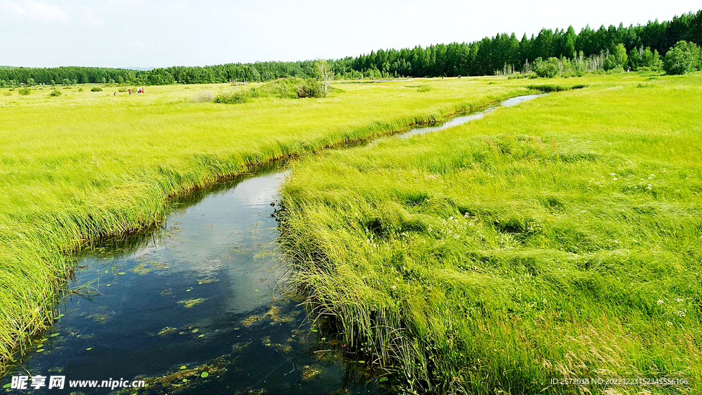 河北塞罕坝七星湖湿地