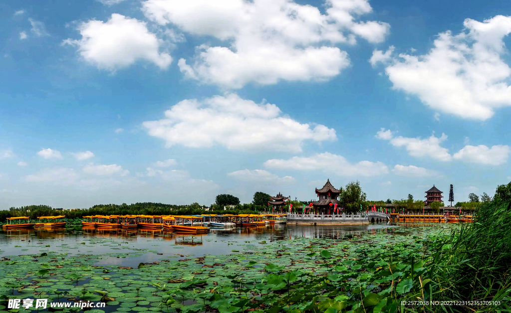 河南淮阳龙湖湿地