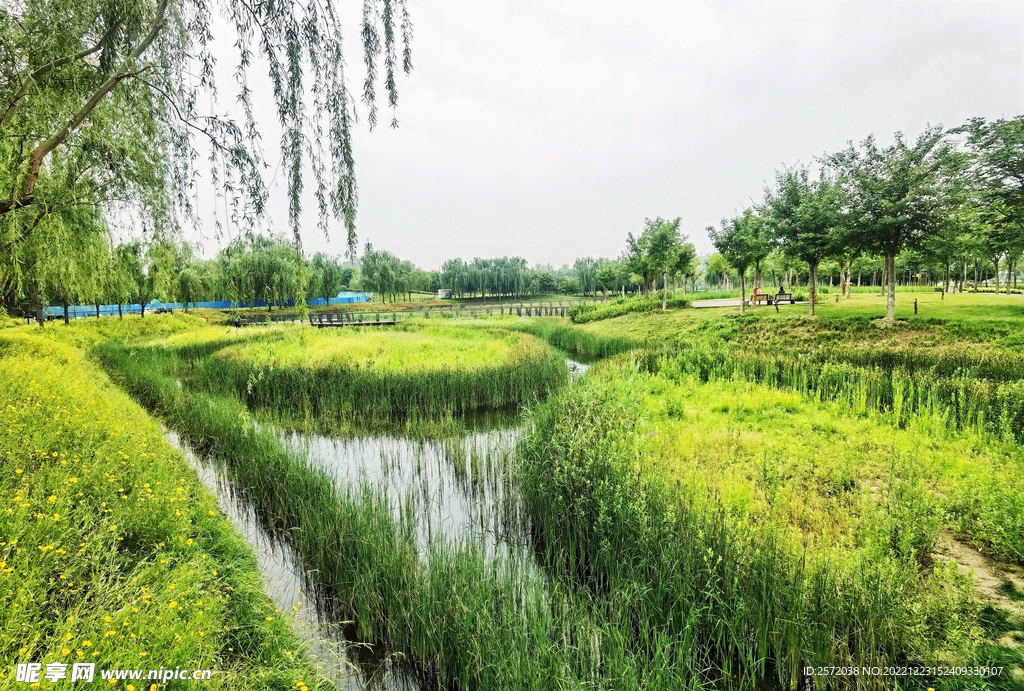 河南郑州龙湖湿地公园