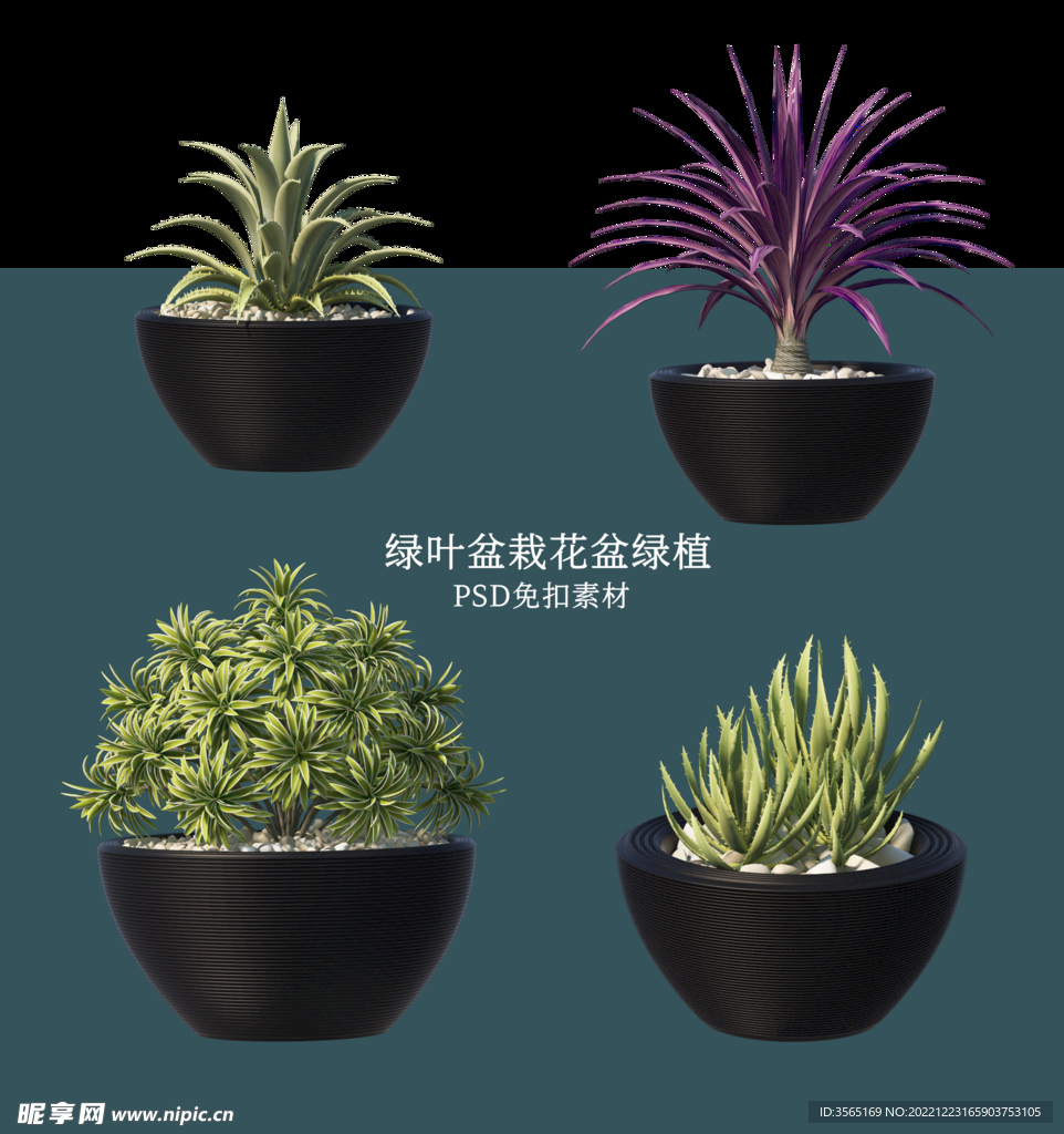 盆栽花盆绿植PSD免扣素材