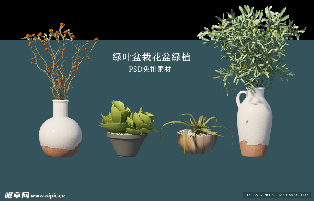 盆栽花盆绿植PSD免扣素材