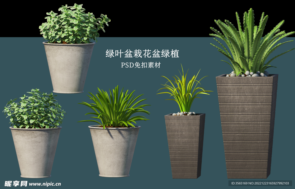 盆栽花盆绿植PSD免扣素材