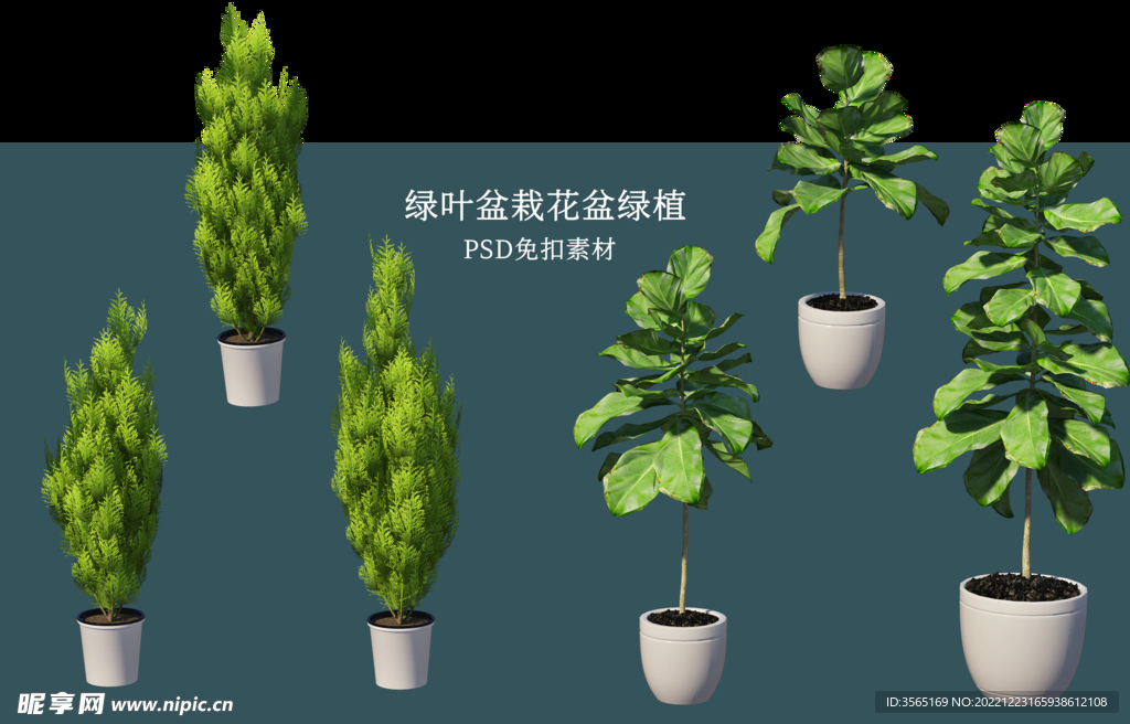 盆栽花盆绿植PSD免扣素材