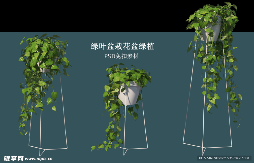 盆栽花盆绿植PSD免扣素材