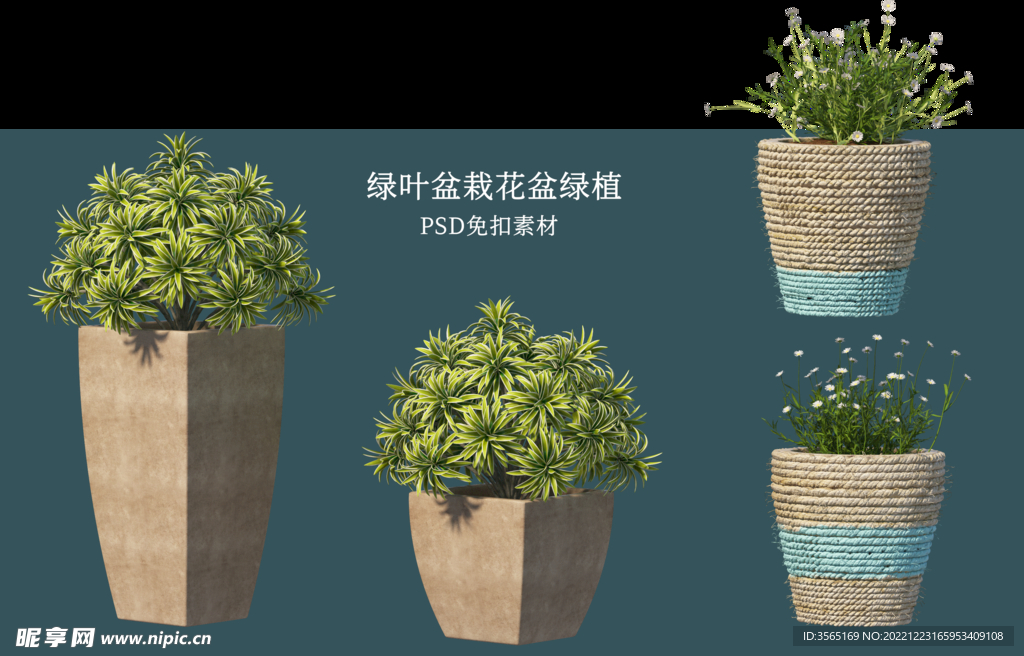 盆栽花盆绿植PSD免扣素材