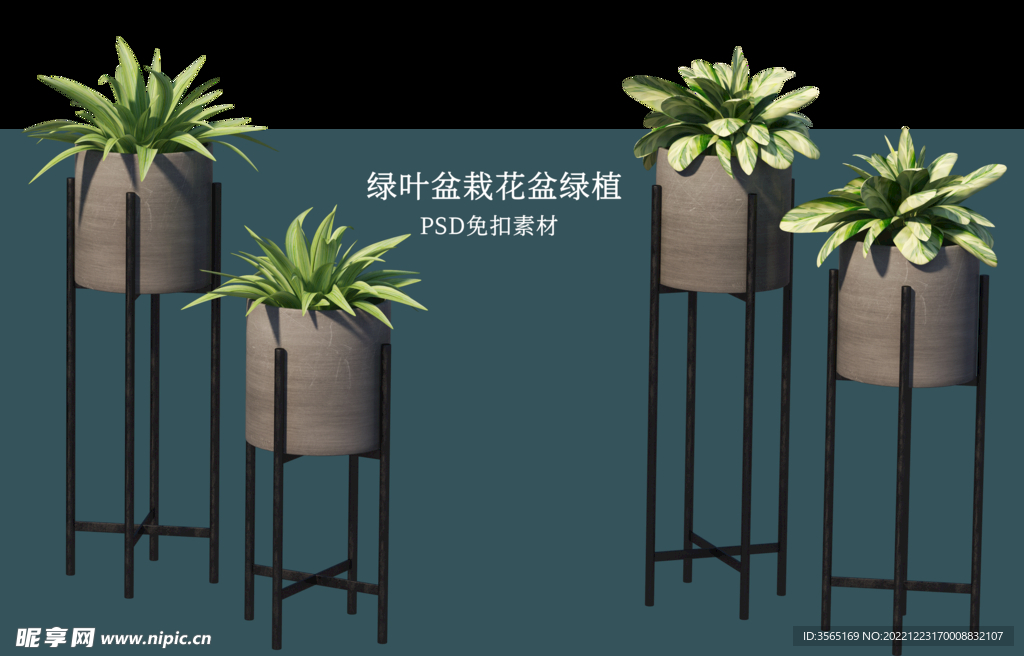 盆栽花盆绿植PSD免扣素材