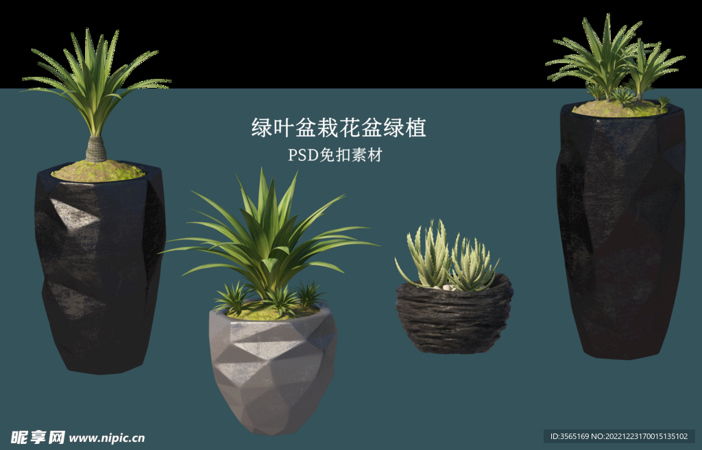 盆栽花盆绿植PSD免扣素材