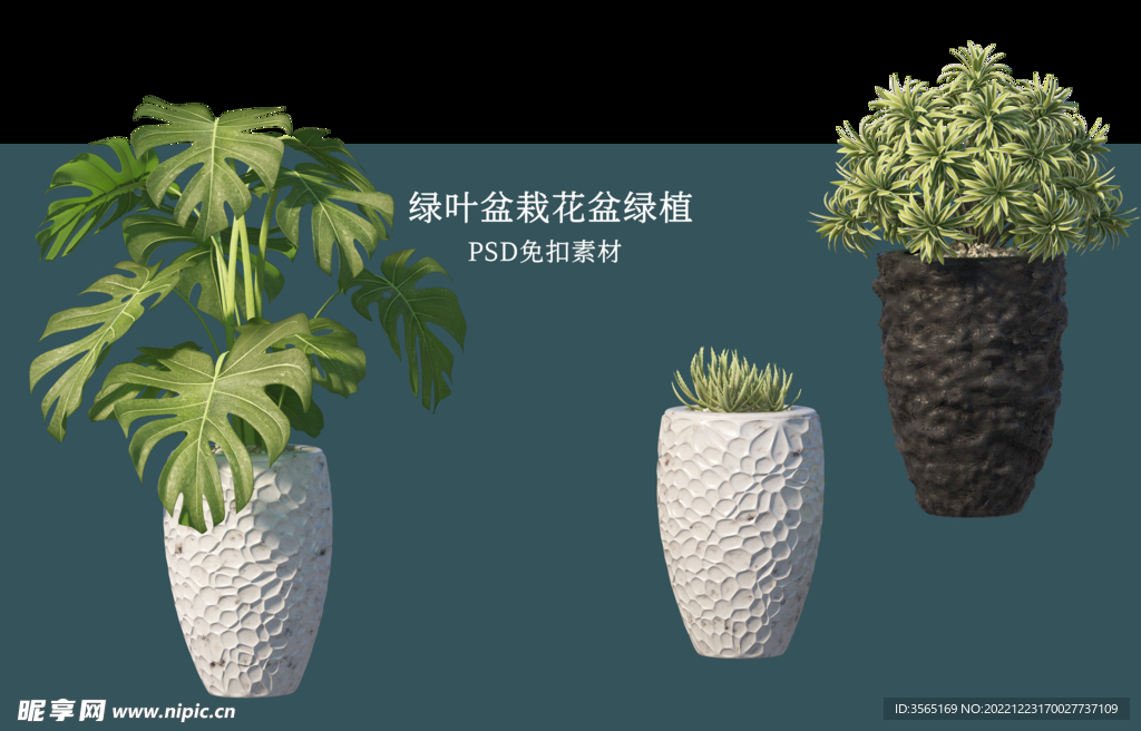 盆栽花盆绿植PSD免扣素材