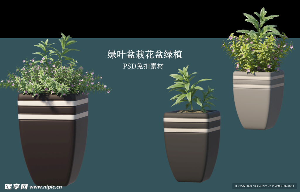 盆栽花盆绿植PSD免扣素材