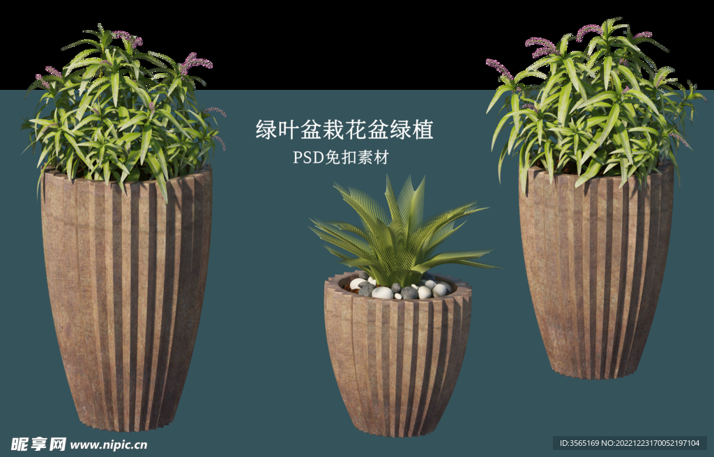 盆栽花盆绿植PSD免扣素材