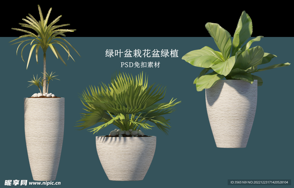 盆栽花盆绿植PSD免扣素材