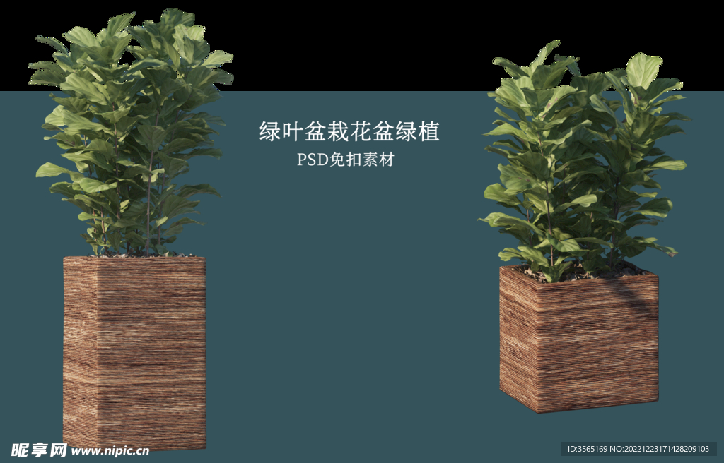 盆栽花盆绿植PSD免扣素材