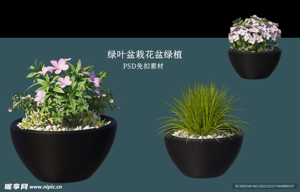 盆栽花盆绿植PSD免扣素材