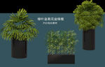 盆栽花盆绿植PSD免扣素材