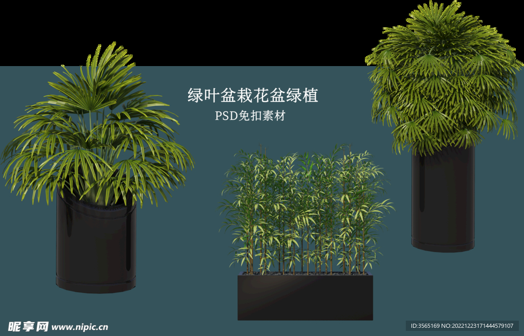 盆栽花盆绿植PSD免扣素材