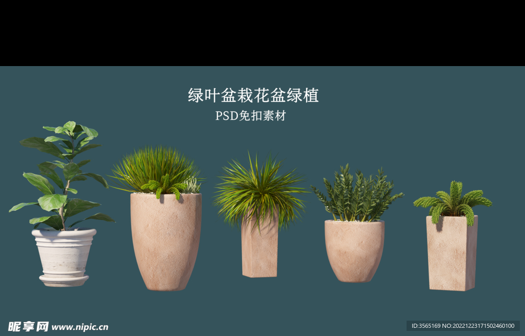 盆栽花盆绿植PSD免扣素材