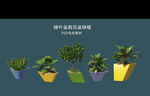 盆栽花盆绿植PSD免扣素材
