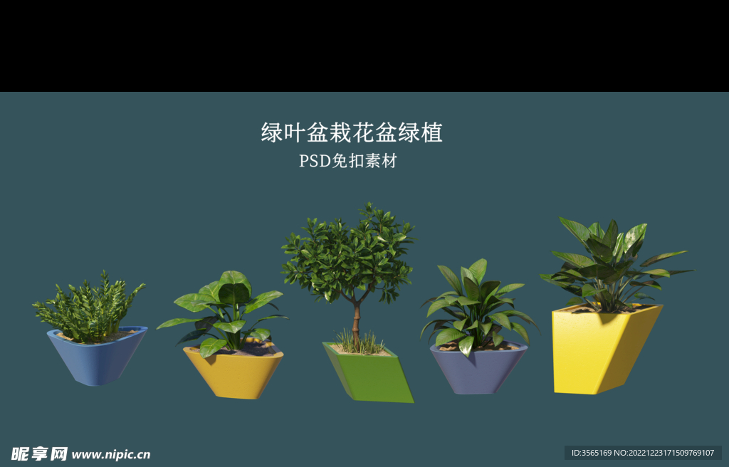 盆栽花盆绿植PSD免扣素材