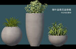 盆栽花盆绿植PSD免扣素材
