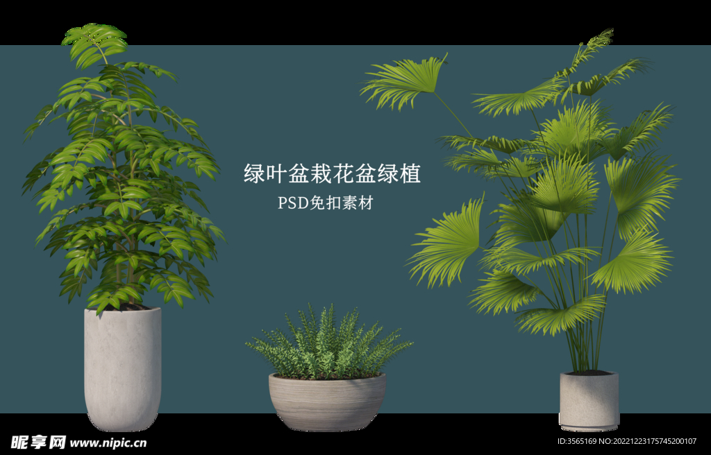 盆栽花盆绿植PSD免扣素材