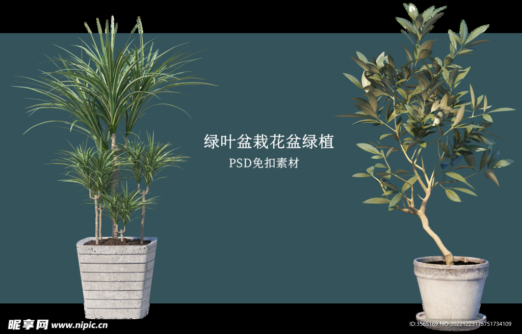 盆栽花盆绿植PSD免扣素材