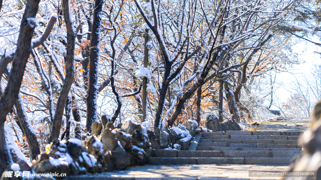 辽宁抚顺高尔山风景区石路