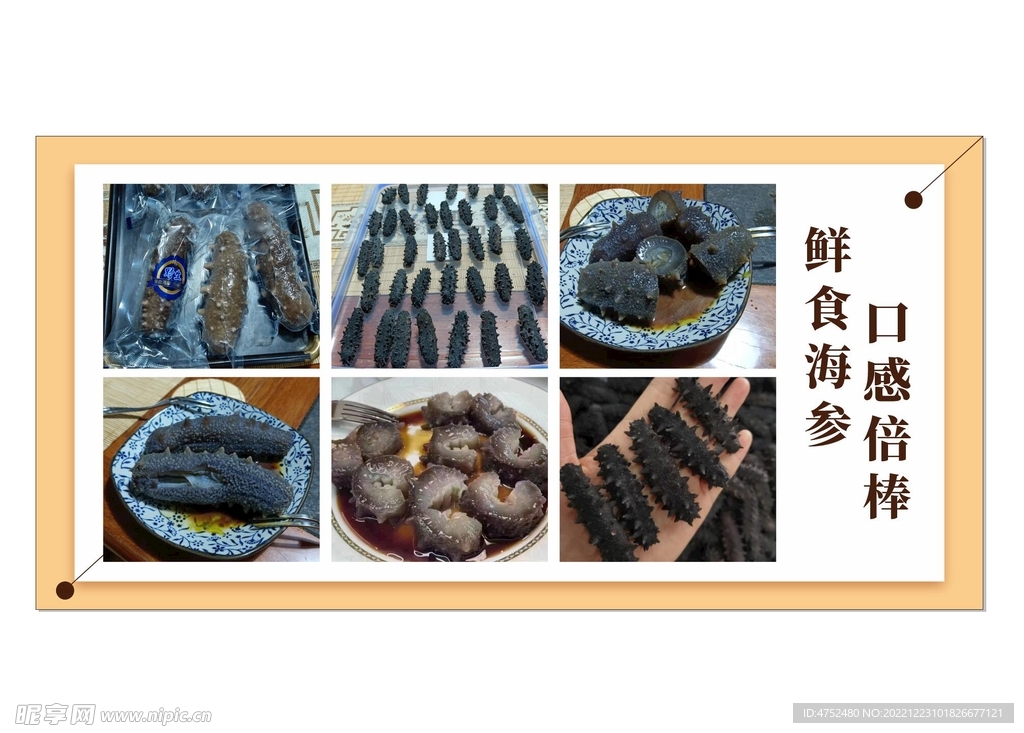 海参