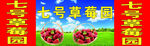 草莓