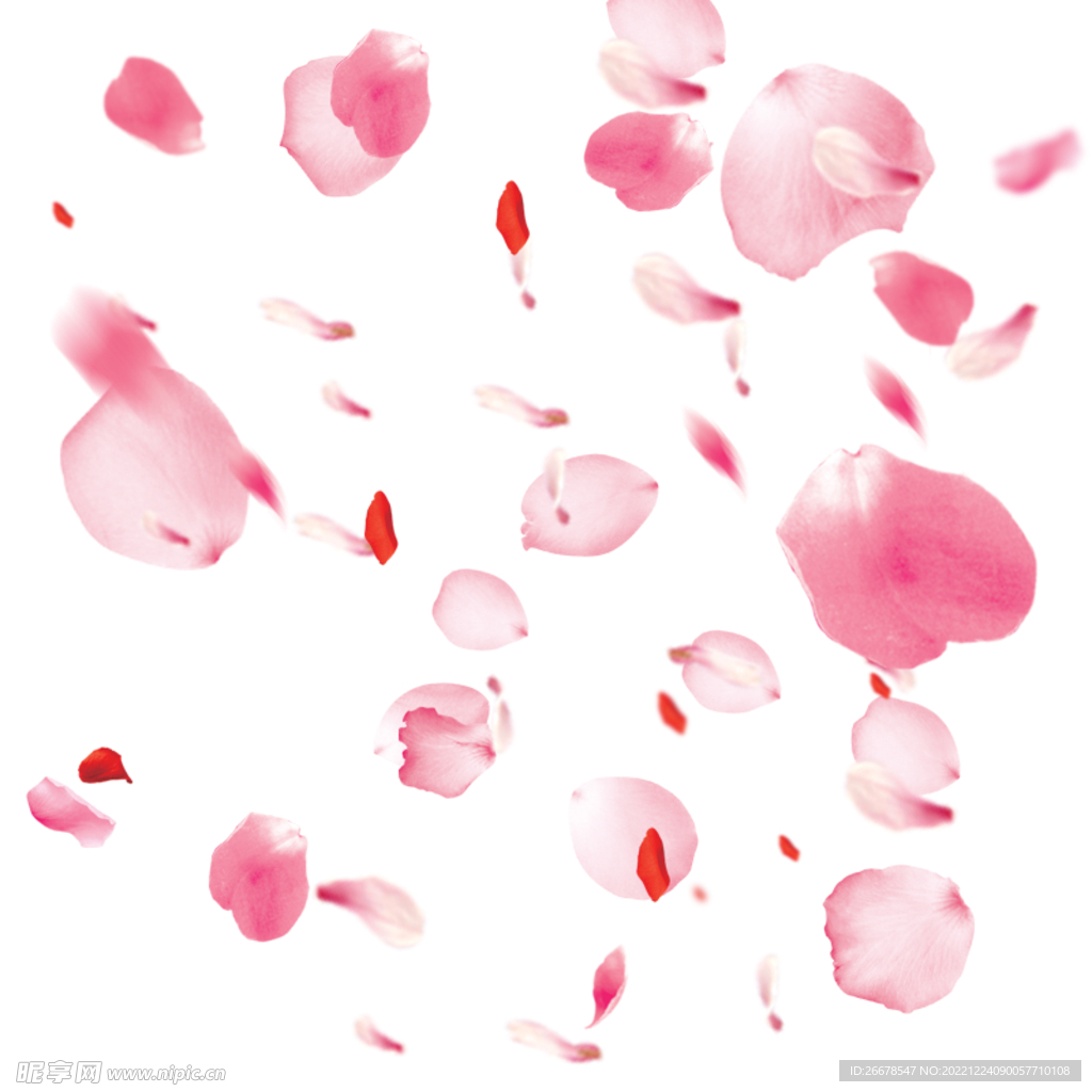 粉色花瓣