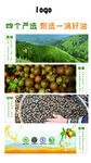甄选山茶油