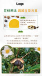 茶油用法