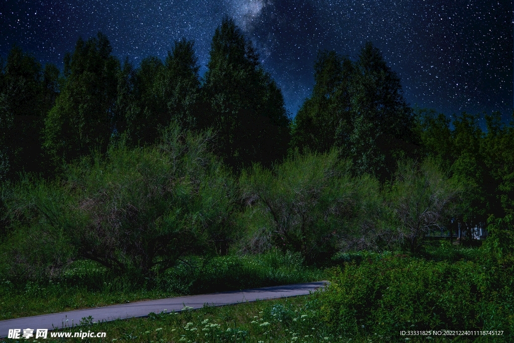 森林