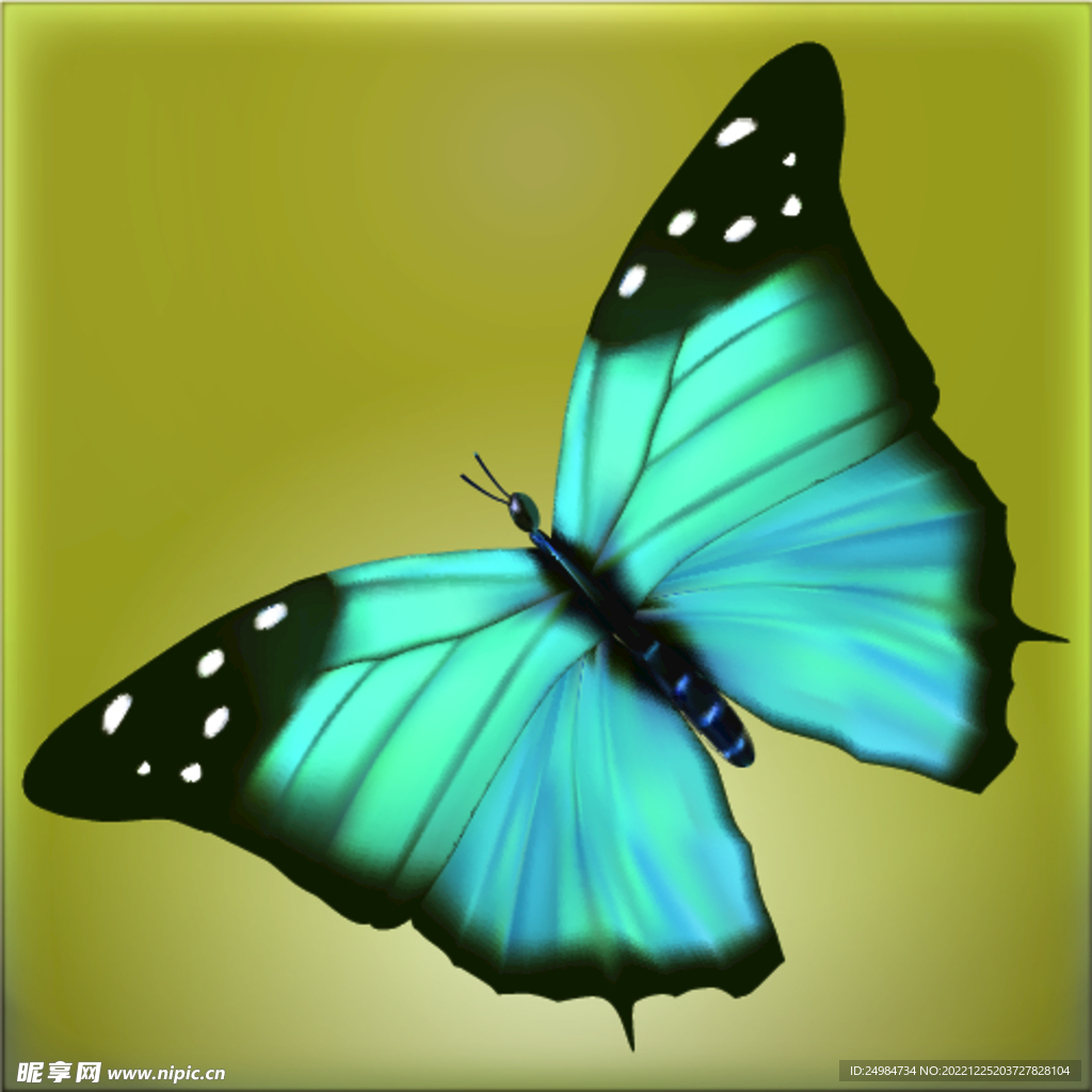 一只绚丽多彩的蝴蝶翩翩起舞透明PNG素材