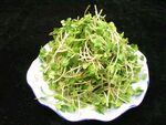 拌萝卜苗